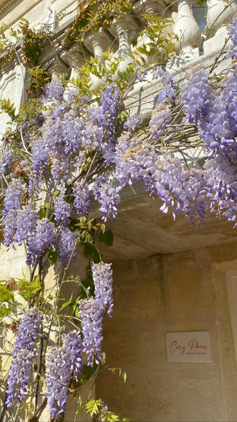 Le Clos Des Queyries, Chambres D'Hotes Bordeaux Bagian luar foto